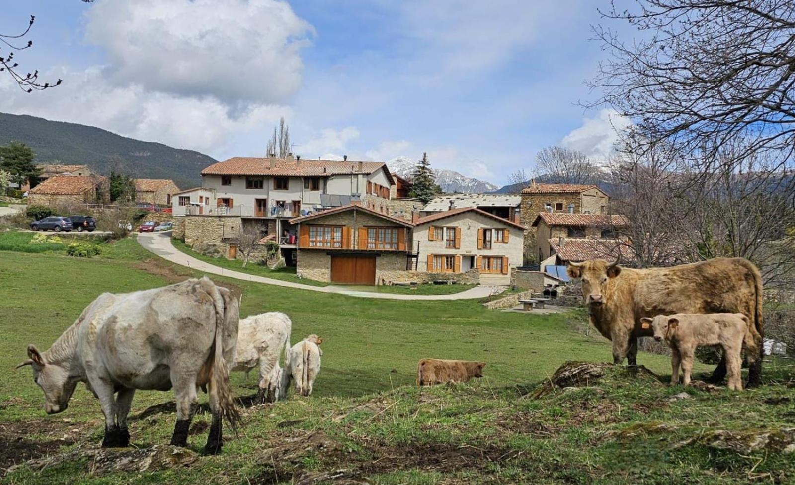 Can Tubau - Casa Rural - Apartaments Campelles Buitenkant foto